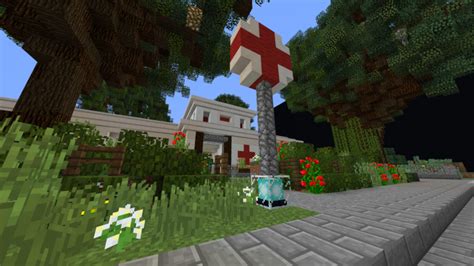 Medical Clinic Minecraft Map