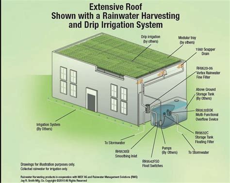 rainwater harvesting system design - Paula Morales