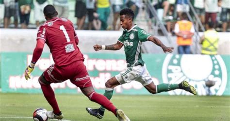 Sociedade Esportiva Palmeiras Amistoso Vs Ponte Preta