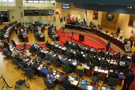 ¿quiénes Serán Los 84 Diputados Periódico Alternativo