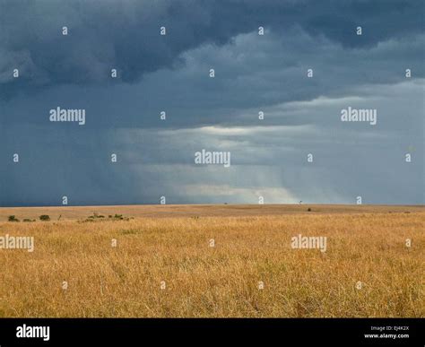 The Masai Mara, Kenya Stock Photo - Alamy