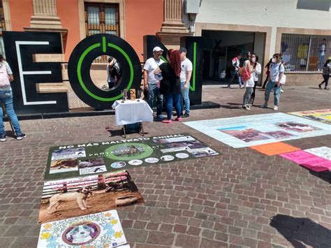 Colectivos de León exigen castigo para la violencia contra los animales