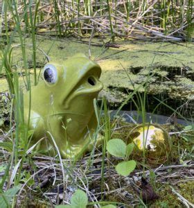 Brunnenfigur Frosch Oder Fisch Aus Keramik Wasserspeier