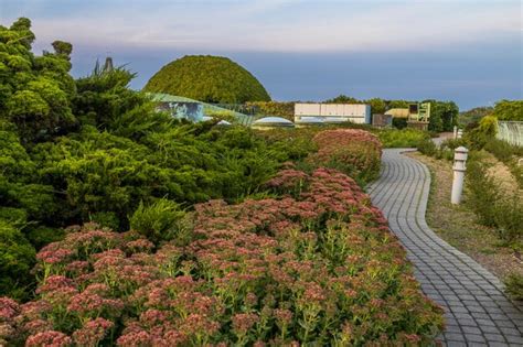 Premium Photo | Modern landscape design thickets of juniper stonecrop ...