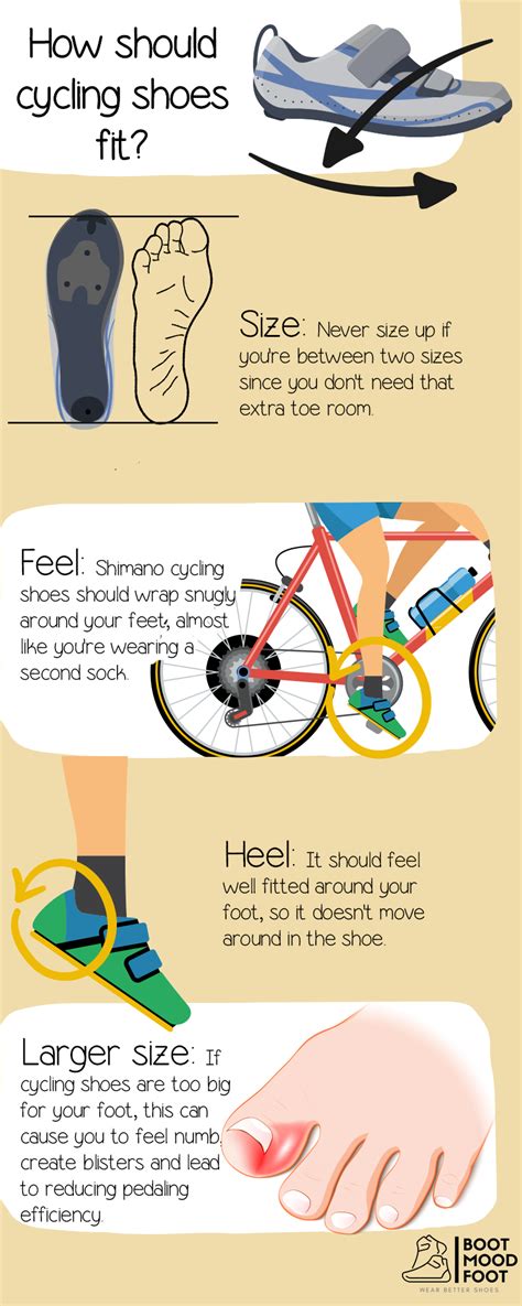 Shimano Shoes Sizing Chart — Get Your Best Fit