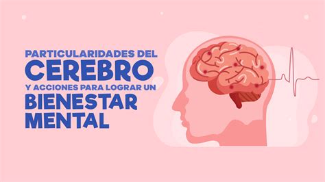 Particularidades Del Cerebro Y Acciones Para Lograr Un Bienestar Mental