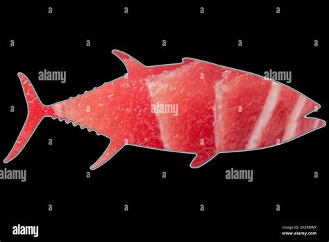 Fish Shaped Tuna Fillett Isolated On Black Background Yellow Fin Tuna