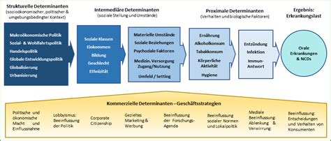 Bzga Leitbegriffe Mundgesundheit Gesundheitsf Rderung Und Pr Vention