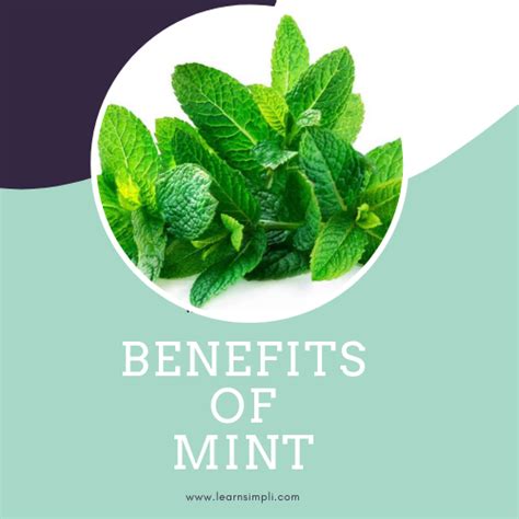 Benefits of mint leaves, it has multiple benefits, used in food