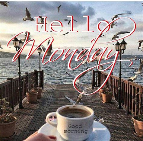 Happy Monday Coastal Lovers Monday Greetings Good Morning Quotes