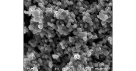 Hydrothermal Synthesis Of Monodisperse Magnetite Nanoparticles