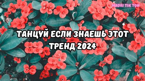 💗ТАНЦУЙ ЕСЛИ ЗНАЕШЬ ЭТОТ ТРЕНД 2024💗 Youtube