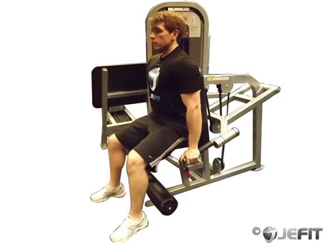 Seated Dip Machine Bodybuilding | Awesome Home