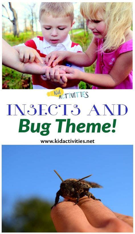 Bug Games 27 Insect Themed Games And Activities For Preschoolers