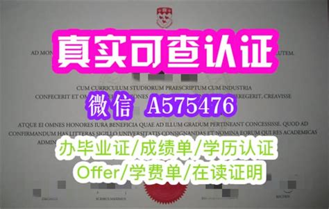 一比一原版otago毕业证书新西兰奥塔哥大学毕业证学历认证靠谱办理 Ppt