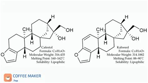 Does Coffee Have Cholesterol? ☕ | All Information In 2024.