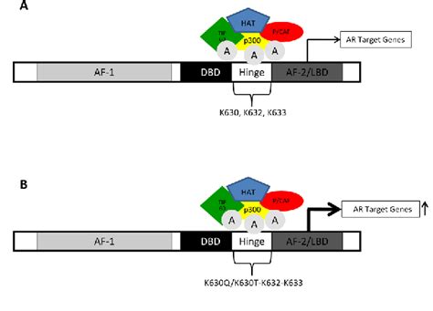 Figure 3 from Review Nuclear Receptor Signaling | The Open Access ...