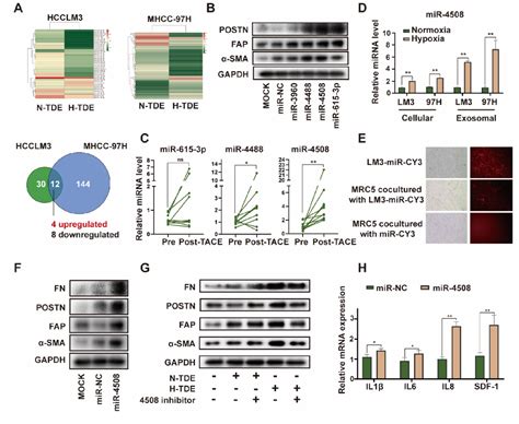 Figure From Hypoxia Induced Exosomes Facilitate Lung Pre Metastatic