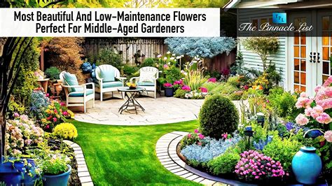 Most Beautiful And Low-Maintenance Flowers Perfect For Middle-Aged ...