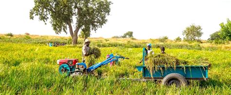 La Guinée encaisse 71 millions de dollars du FMI pour le Fonds du