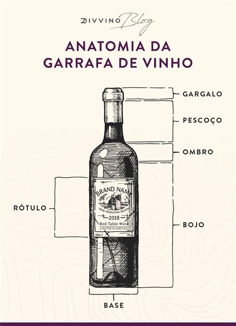 Garrafas De Vinho Confira Os Tipos Dicas E Curiosidades