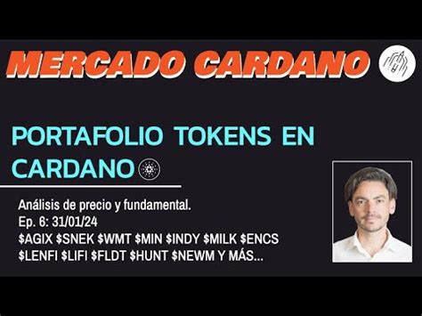 Portafolio de tokens en Cardano FLDT IAG LENFI y más YouTube