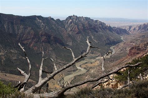 Tips From a Ranger: Where to Hike, How to Camp in Dinosaur National ...