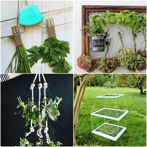 Homemade Diy Herb Drying Rack Ideas