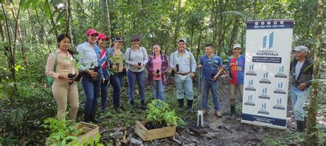 Universitarios Se Unen Al Marn Para Reforestar Parques Naturales En