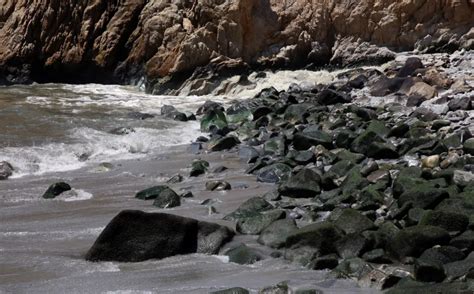 Localizan En Aguas Residuales De Quintana Roo M S De Mil Copias Del