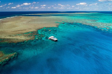 Snorkelling & Diving Tours | Great… | Visit Port Douglas Daintree