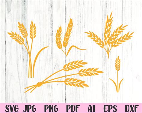 Wheat Svg Grain Svg Wheat Svg Bundle Svg Files For Cricut Etsy Canada