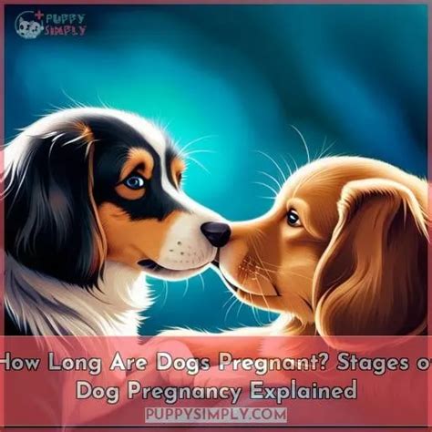 How Long Are Dogs Pregnant? Stages of Dog Pregnancy Explained