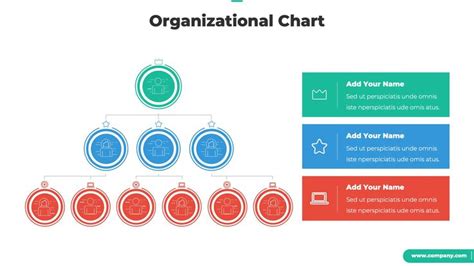 Organizational Chart Hierarchy Powerpoint Infographic Pie Chart