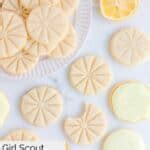 Girl Scout Lemonades - CopyKat Recipes