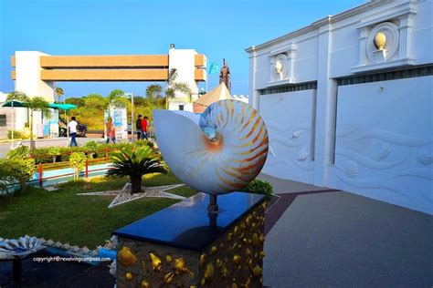 India Seashell Museum Mahabalipuram A Revolving Compass