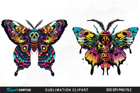 Watercolor Skull Moth Illustration Png Graphic By Regulrcrative