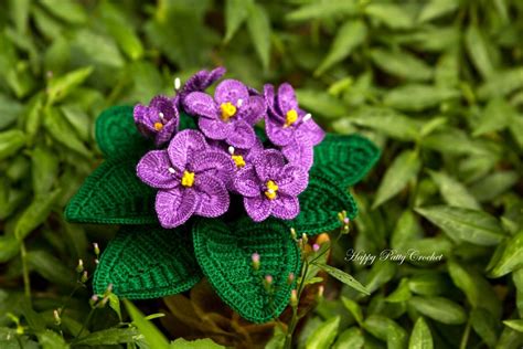 Crochet Flower Pattern African Violet Pattern Crochet Etsy