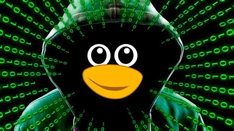 C Mo Dar Permisos De Root A Un Usuario En Linux Gu A Paso A Paso