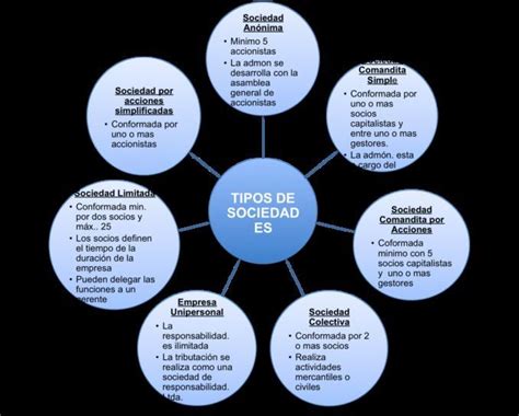 Cuadro Sinoptico De Tipos De Sociedad Brainly Lat