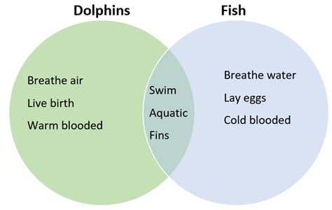 Venn Diagrams Uses Examples And Making Statistics By Jim