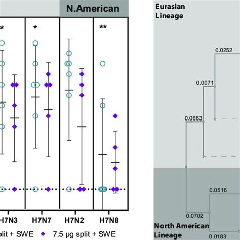 Cross Reactive Antibody Responses Cross Reactive Antibody Responses