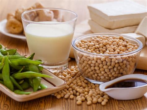 Soybean Products and Its Environmental Impact | Earth.Org