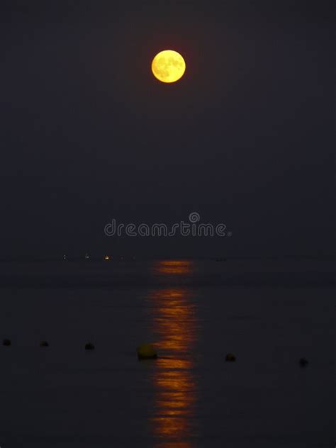 Luna Amarilla Llena Sobre El Mar Imagen De Archivo Imagen De Hermoso