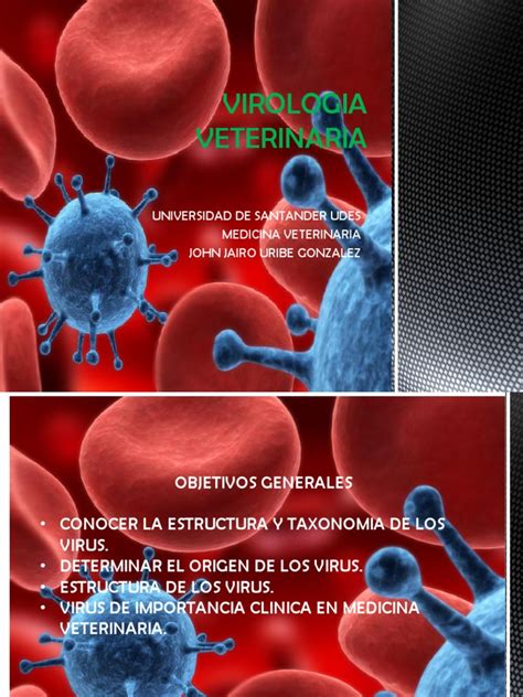 Ett Virologia Veterinaria Retrovirus Adenoviridae