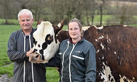 Oreillette La Vache Star Du Salon De Lagriculture Saint Nazaire