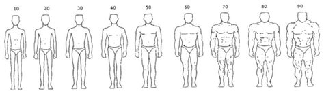 Body Shape Scale (Grossbard, et al. 2010) | Download Scientific Diagram