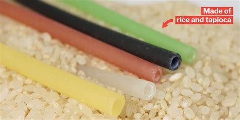 Edible Rice Straws Are Now A Thing In S Pore They Re Also A Handy