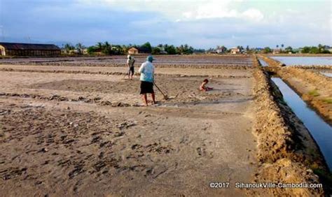 The Salt Fields of Kampot, Cambodia.