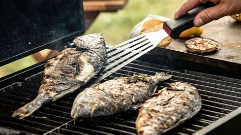 Fisch Grillen Mit Dem Gasgrill Tipps Auf Fackelmann De